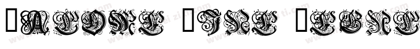 Salome Fine Regular字体转换